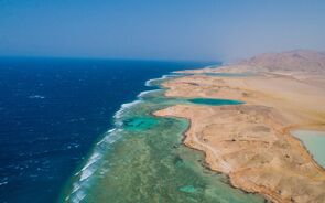 Neom