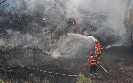 UE diz estar disponível para ajudar Portugal nos incêndios