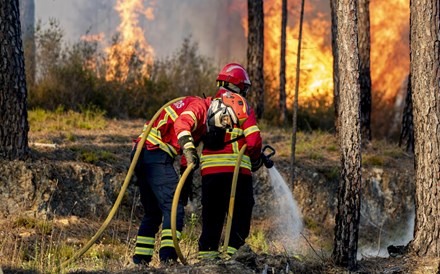 Quinze aldeias da freguesia de Cardigos, Mação, ameaçadas pelas chamas