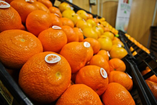 Produção de laranja atinge nível mais elevado em mais de 30 anos em 2018