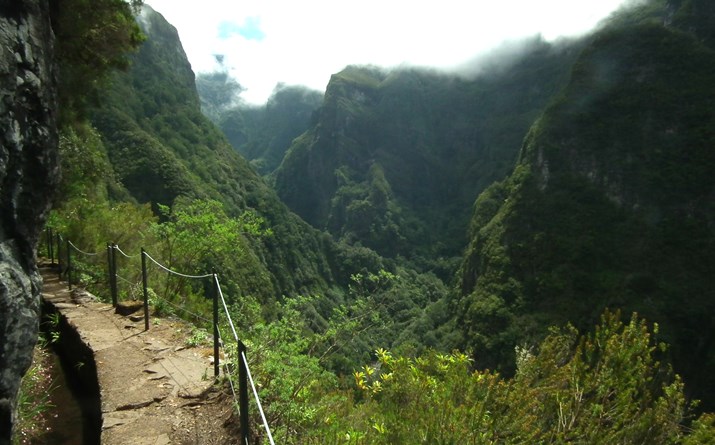 Laurissilva da Madeira