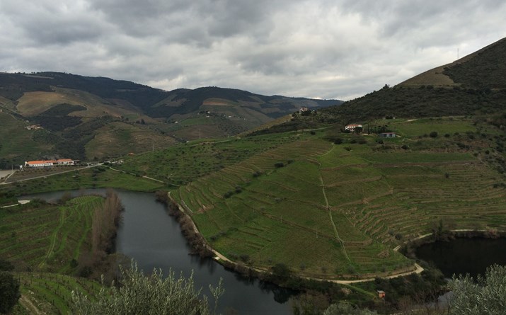 Alto Douro Vinhateiro