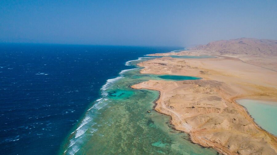 Neom