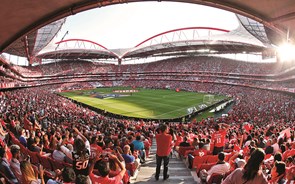 Ações da Benfica SAD leiloadas online por 12 vezes mais do que valem em bolsa 