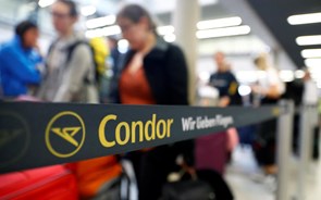 Condor vai continuar a voar de forma regular apesar do colapso da Thomas Cook