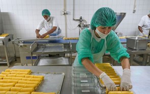 Tortas de Azeitão: depois da tempestade veio a bonança 