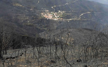 Dominado incêndio em Pampilhosa da Serra 