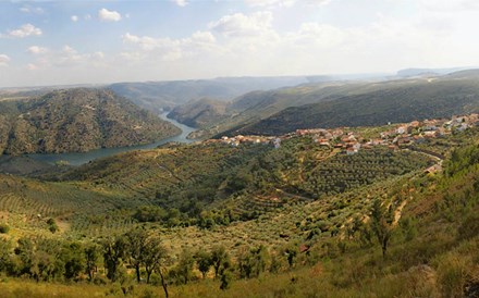 Covid-19: Norte com 'novos focos' de contágio em Trás-os-Montes, Arouca e Cinfães