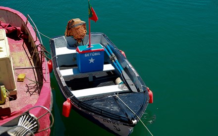 Docapesca investe quase um milhão nos portos de pesca de Esposende e Vila do Conde