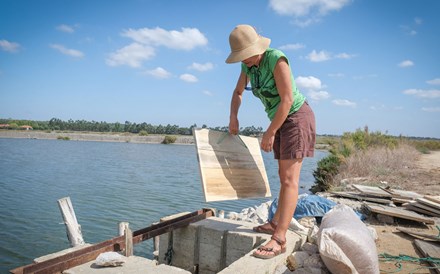 Entra em vigor 'simplex' para aquicultura que abre caminho a antecipar meta de produção 