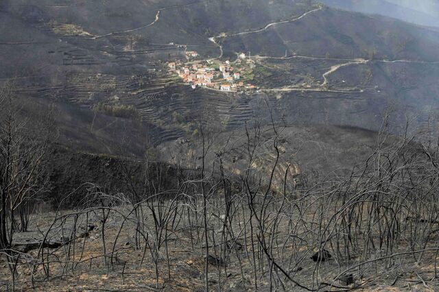 Arganil adjudica empreitadas de reabilitação quase dois anos depois dos incêndios