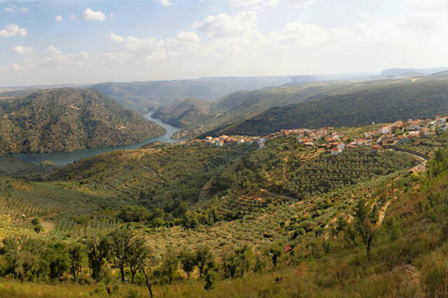 Covid-19: Norte com 'novos focos' de contágio em Trás-os-Montes, Arouca e Cinfães
