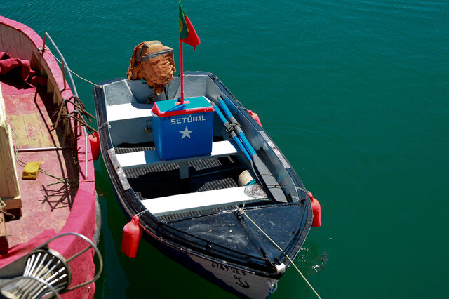 Portugal defende 'acordo equilibrado' para gestão de 'stocks' pesqueiros