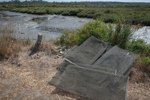 Governo destina 1,5 milhões à aquacultura para reposição de equipamentos destruídos