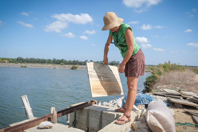 Entra em vigor 'simplex' para aquicultura que abre caminho a antecipar meta de produção 