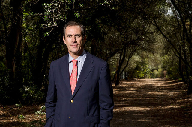 Luís Mira: Ministra “anunciou apoios”, mas “nenhuma medida chegou ao setor”