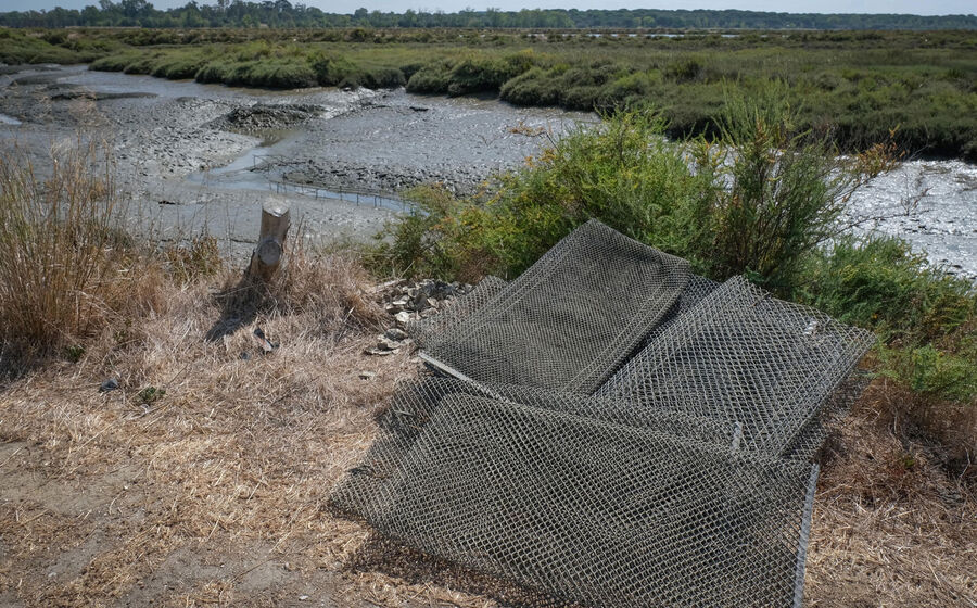 As candidaturas à ajuda, de cariz extraordinário, financiada pelo Programa MAR2030, estão abertas até 30 de abril