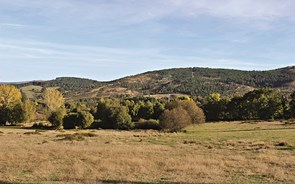 Autarca de Montalegre: 'Projeto do lítio morreu à nascença'