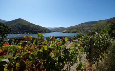 Vinhos do Douro deixam de poder ser engarrafados na fronteira da região