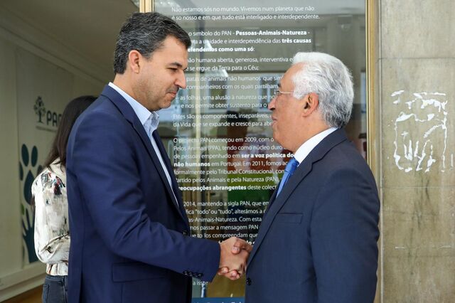 PAN não viabilizará propostas para redução do IVA da eletricidade
