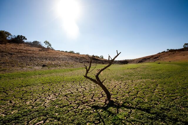 Oligarcas, máfia e populistas ficam com dinheiro europeu dos agricultores