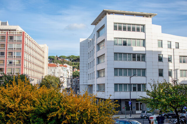Empresa egípcia escolhe Lisboa para 'hub' tecnológico