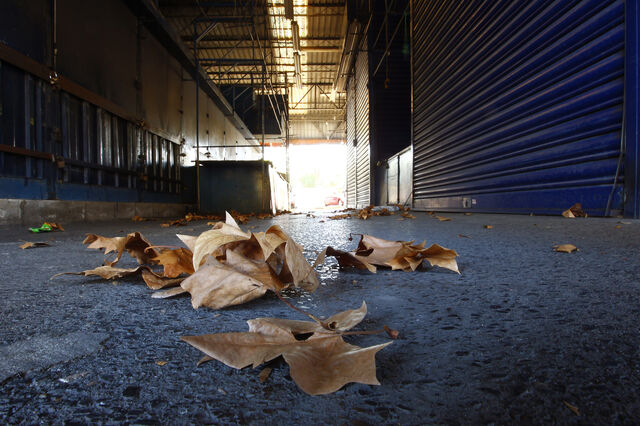 Um mercado para a nova condição humana