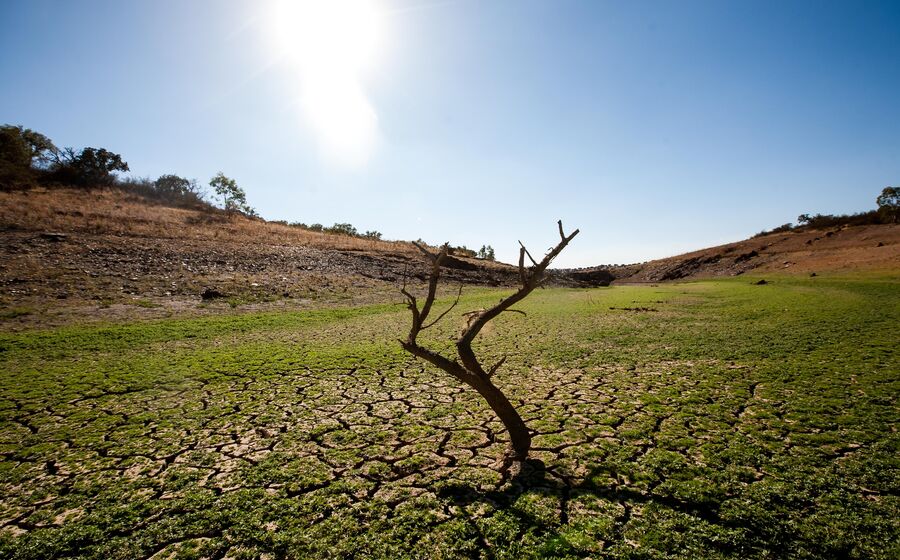 Agricultura terreno terra 