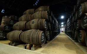 Vinho do Porto produz 100 pipas de gel desinfetante para hospitais