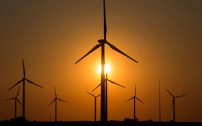 Bank of America vê potencial até 45% em bolsa para a EDP e 'amigas' das renováveis