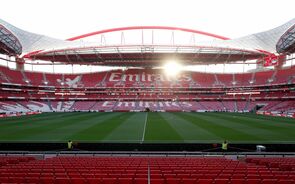 Benfica, Estádio da Luz