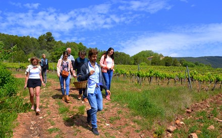 Turismo de Portugal tem em curso 38 projetos de enoturismo com 60 ME já aprovados