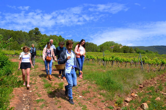 Turismo de Portugal tem em curso 38 projetos de enoturismo com 60 ME já aprovados