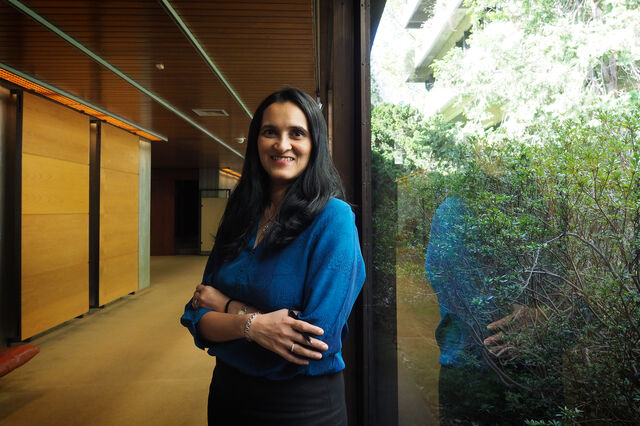 'Empresas domésticas na Ásia estão isoladas da guerra comercial'