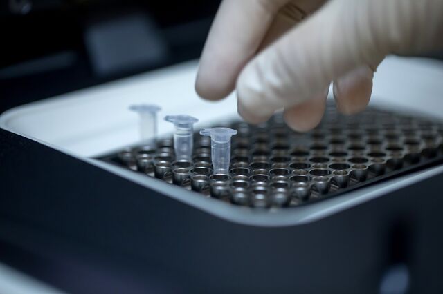Novartis seleciona cinco startups para desenvolverem projetos na saúde em Portugal