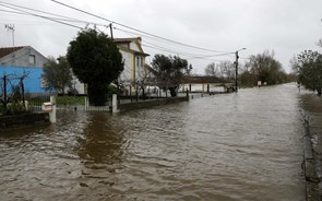 Câmara de Coimbra pede evacuação das localidades entre Bencanta e Ameal