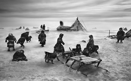 Ode à Terra, de Sebastião Salgado 