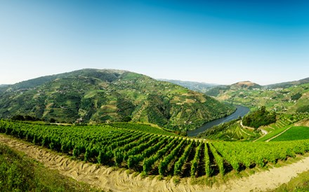 Quinta do Côtto: Dotes do Douro