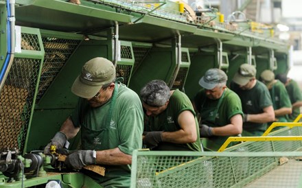 Ganho de 5% leva Corticeira Amorim a níveis pré-pandemia