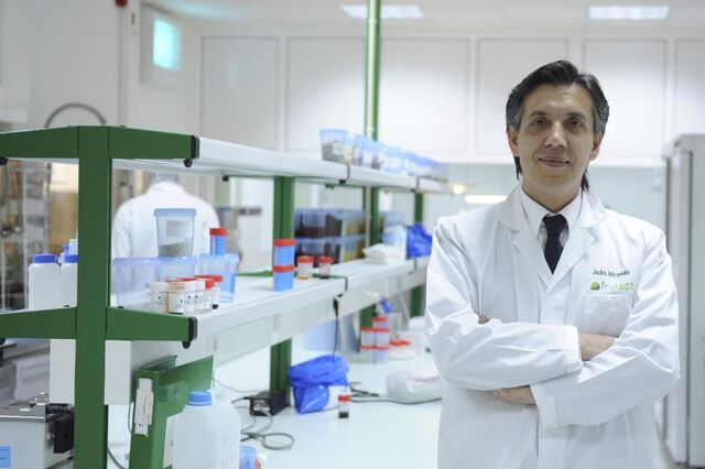 Há empresas a atingir picos com a pandemia 