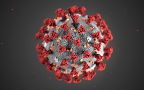Coronavírus: Número de mortes na China aumenta para 425