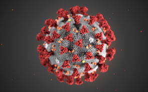 Coronavirus virus china