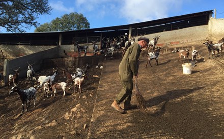 O despertar da serra algarvia  