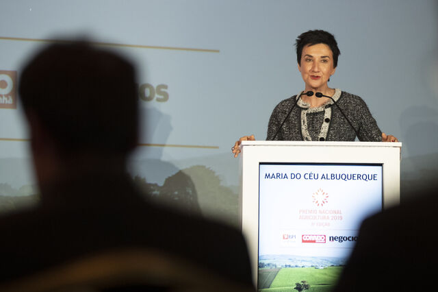 Governo mantém meta dos 1.000 milhões de exportações de vinho até 2023