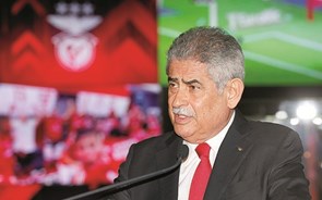 Três arguidos por fraude fiscal na operação 'saco azul' que envolve Benfica