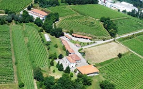 Produtores de vinho verde em feira alemã para dar a conhecer a região