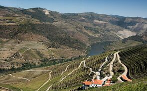 O diploma altera as denominações de origem do Douro.