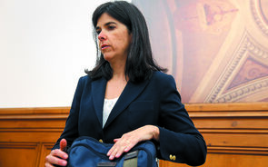 margarida matos rosa