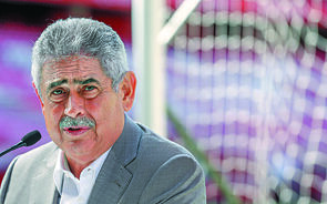 vieira benfica