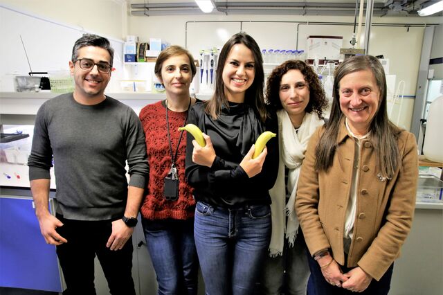 Aveiro descobre que as cascas de banana limpam águas com metais pesados
